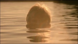 Its Florida Man - Season 01 Episode 02